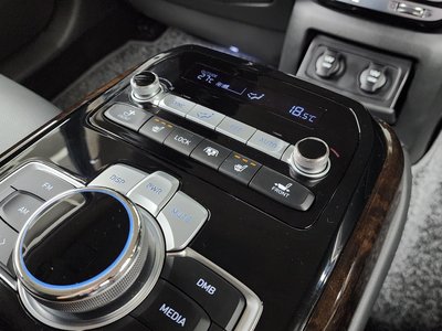2020 Genesis G90 缩略图 25
