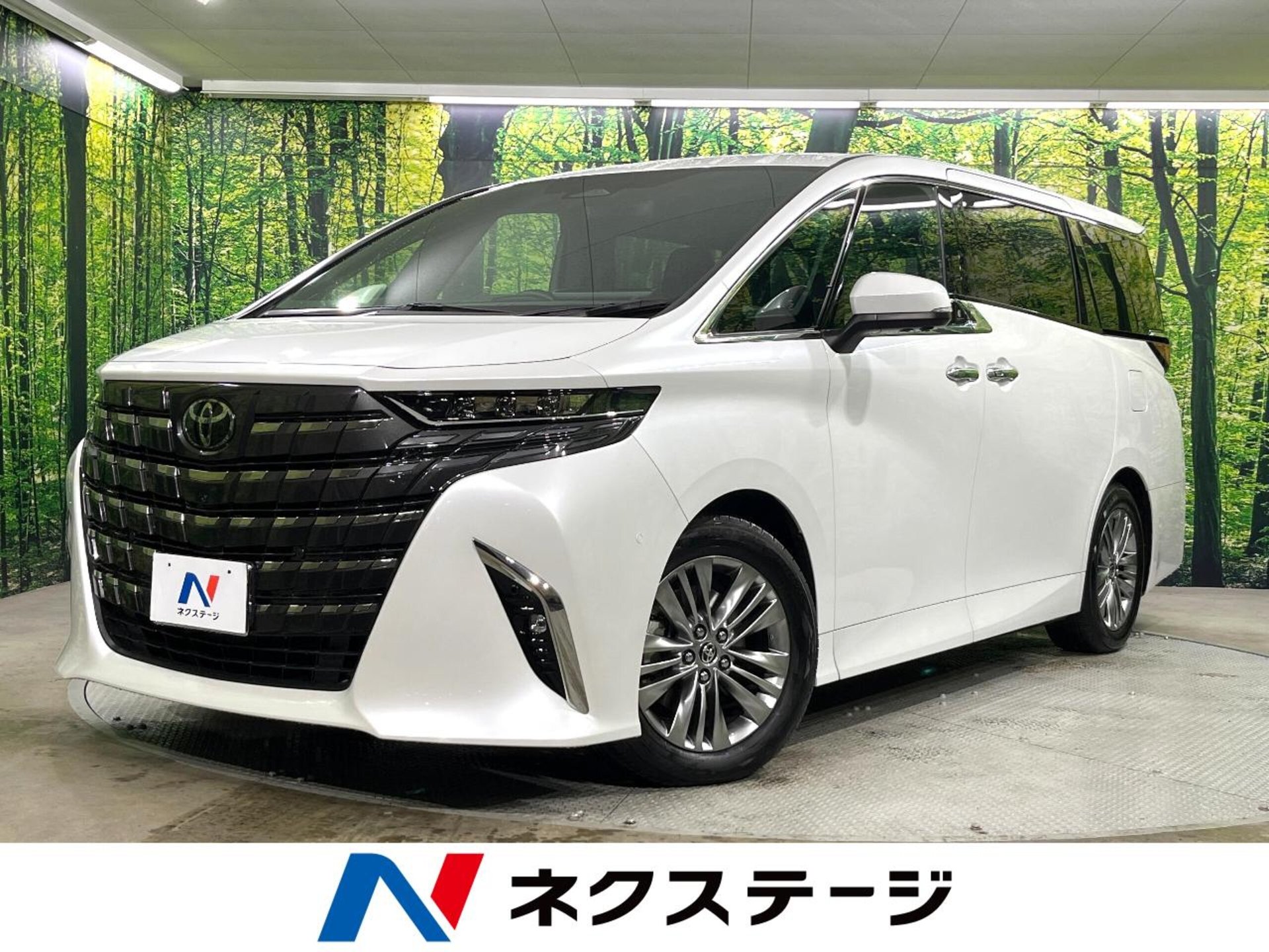TOYOTA ALPHARD - View 1
