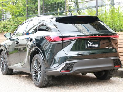 LEXUS RX - 3