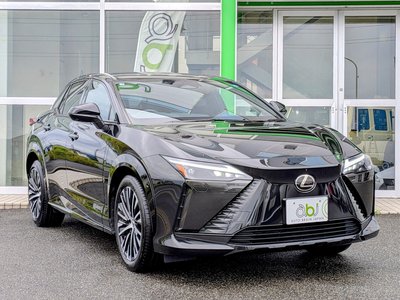 2023 Lexus RZ 照片 2