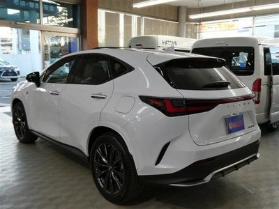 LEXUS NX - 10