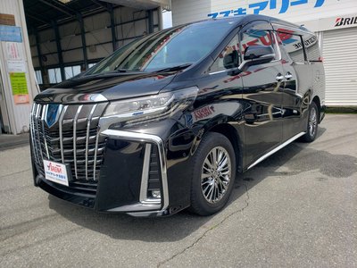 2022 TOYOTA ALPHARD 缩略图 64