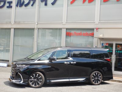 2024 Toyota ALPHARD 缩略图 3