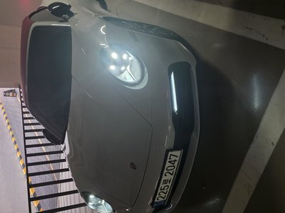 2020 Porsche 911 照片 2