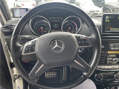 2014 Mercedes-BENZ G-CLASS 缩略图 24