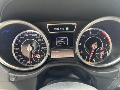 2014 Mercedes-BENZ G-CLASS 缩略图 25