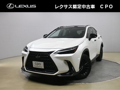 2024 Lexus NX 照片 2