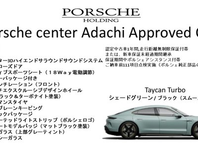 2025 Porsche TAYCAN photo 3