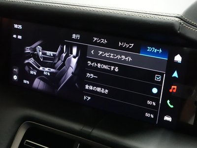 2025 Porsche TAYCAN 缩略图 38