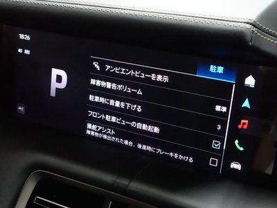 2025 Porsche TAYCAN 缩略图 41