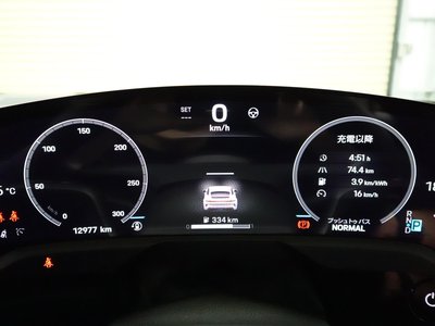 2025 Porsche TAYCAN 缩略图 66