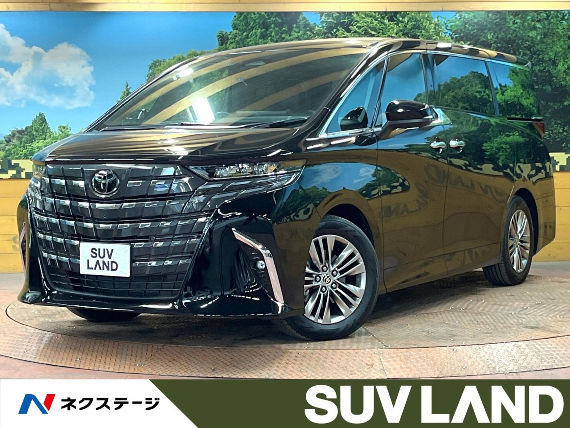TOYOTA ALPHARD - View 1