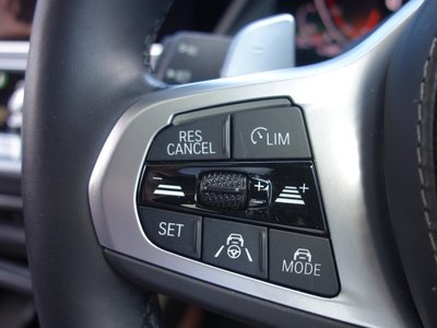 2022 BMW X7 缩略图 43