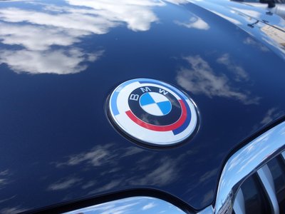 2022 BMW X7 缩略图 13