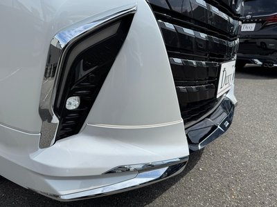 2025 Toyota ALPHARD 缩略图 24