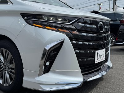 2025 Toyota ALPHARD 缩略图 20