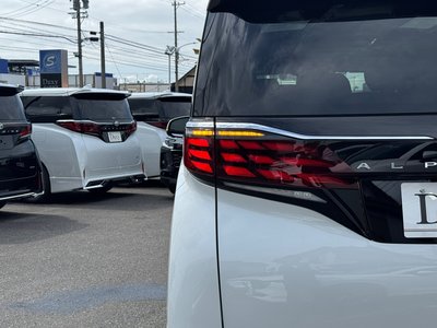 2025 Toyota ALPHARD 缩略图 34