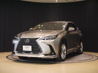 LEXUS NX - 1