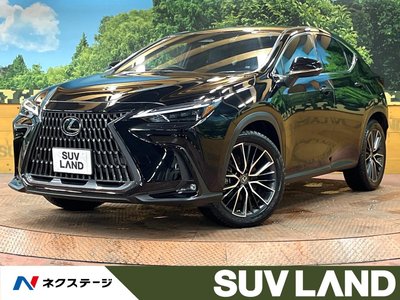 2022 Lexus NX photo 1