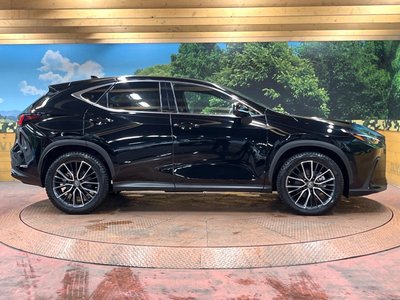 صورة مصغرة 64 لـ 2022 Lexus NX