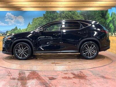صورة مصغرة 66 لـ 2022 Lexus NX