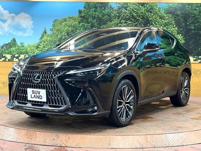 صورة مصغرة 16 لـ 2022 Lexus NX