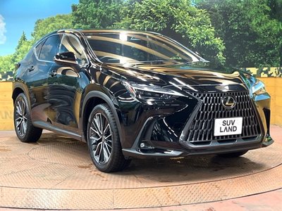 صورة مصغرة 63 لـ 2022 Lexus NX