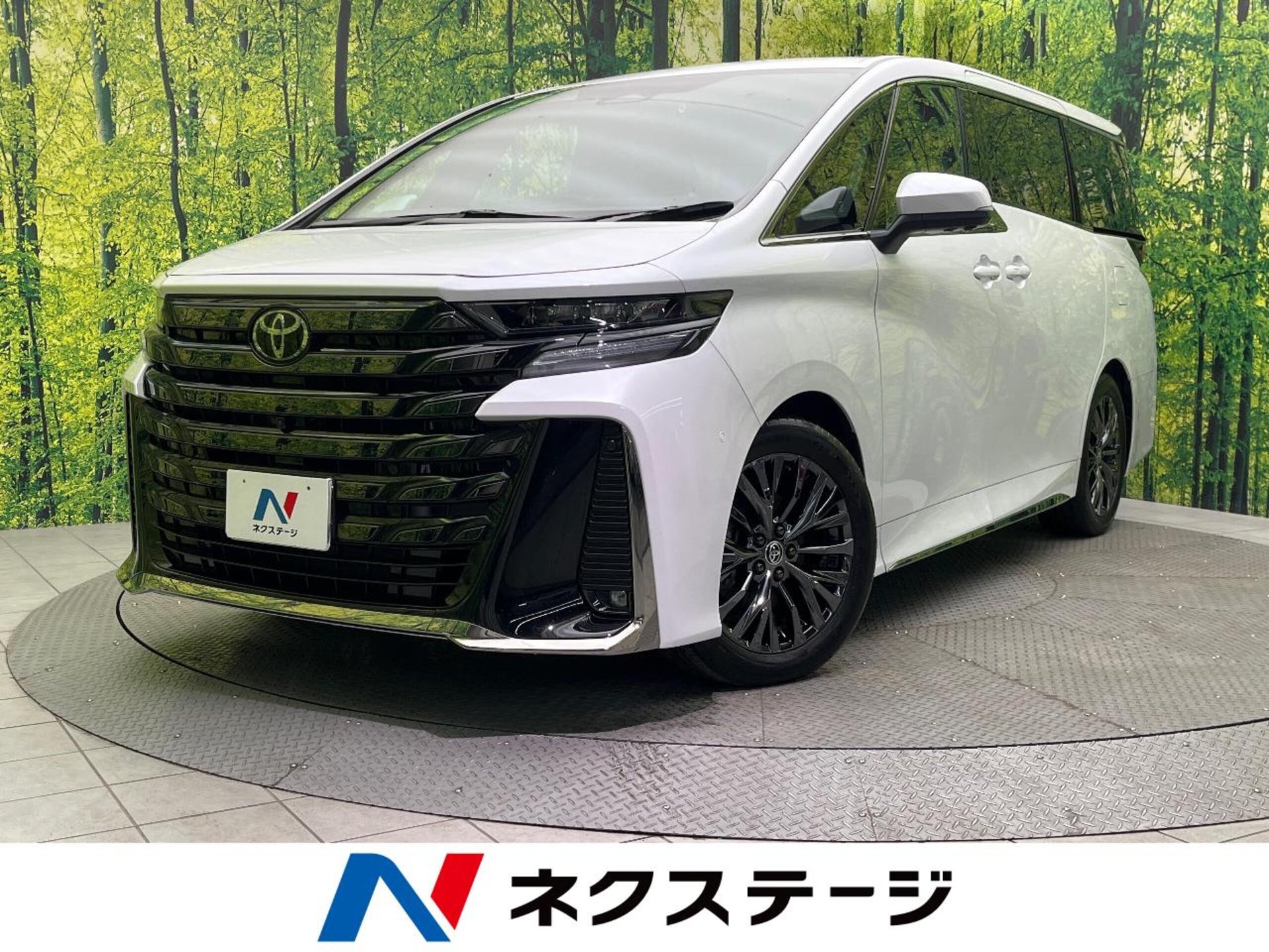 TOYOTA VELLFIRE - View 1