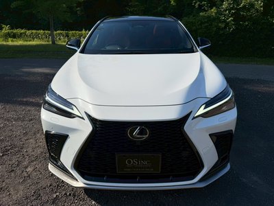 2023 Lexus NX — миниатюра 19