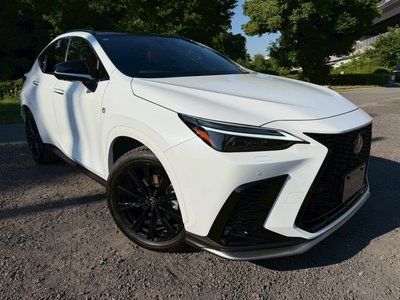 2023 Lexus NX — миниатюра 13