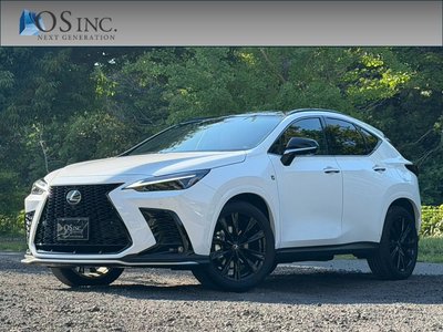 LEXUS NX - 1