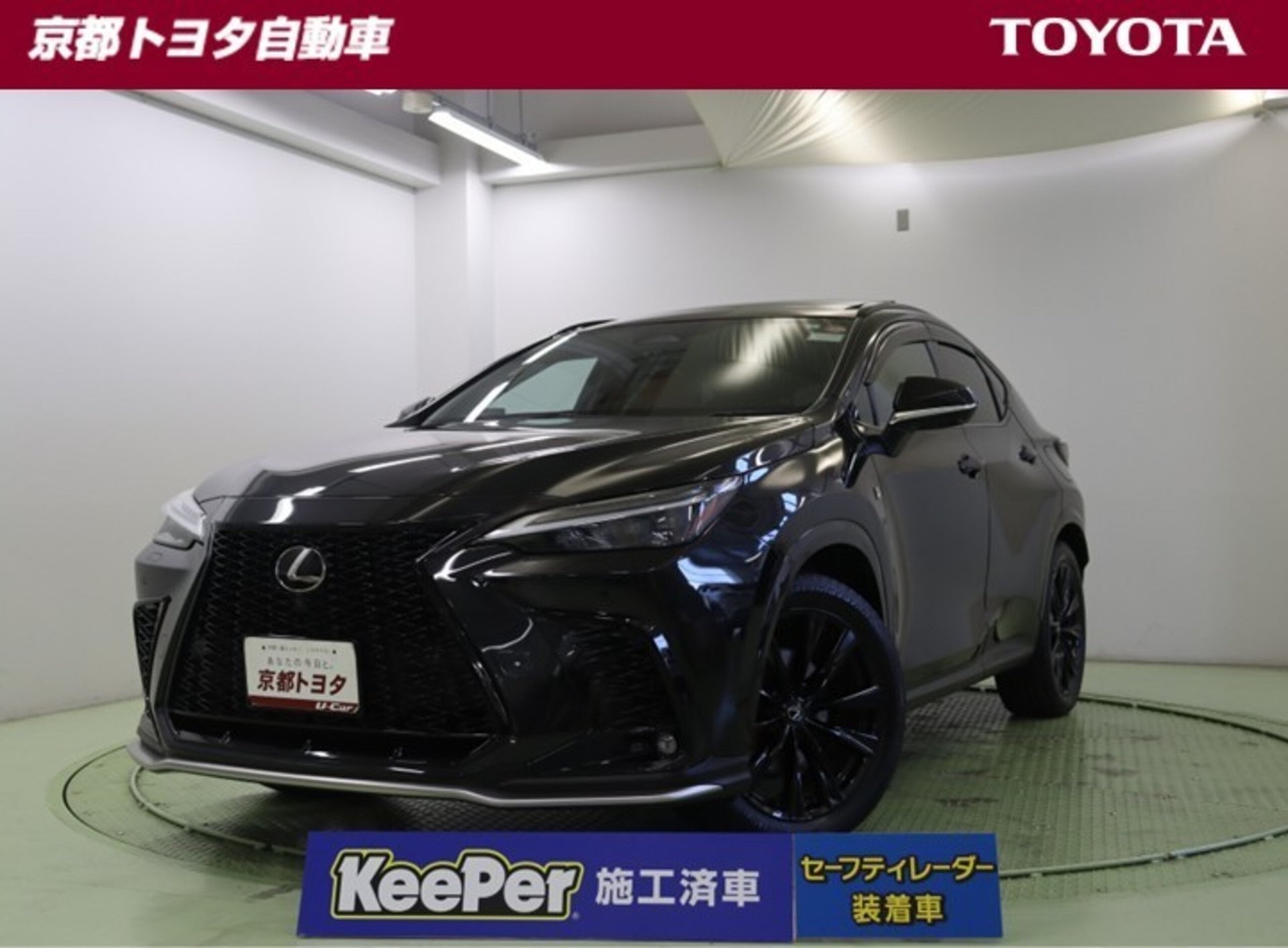 LEXUS NX - View 1