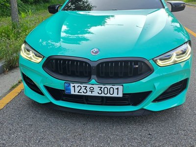 2024 BMW 8 SERIES — фото 1