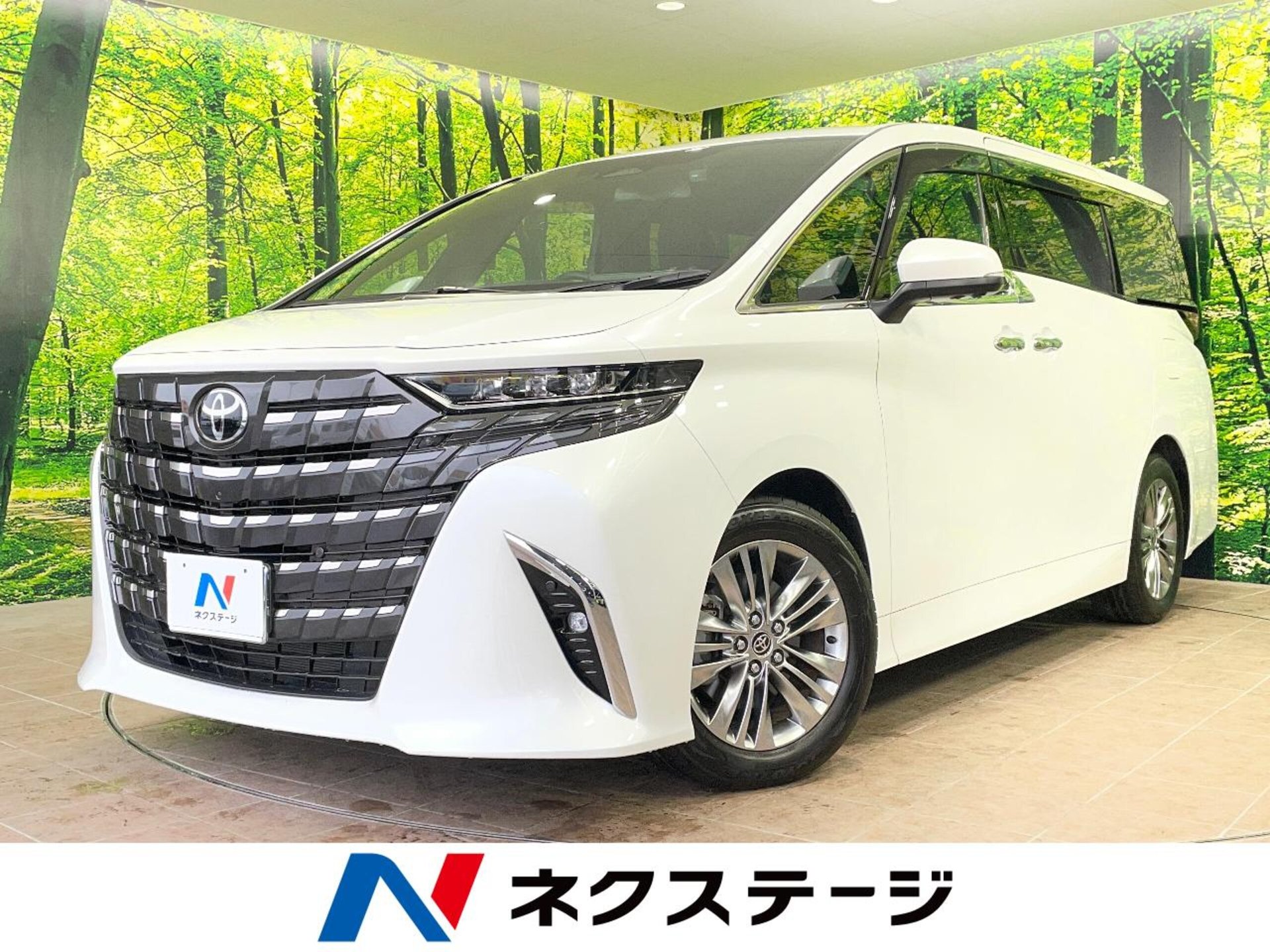 TOYOTA ALPHARD - View 1