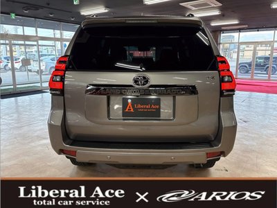 TOYOTA LAND CRUISER - 10