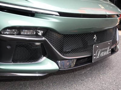 FERRARI PUROSANGUE - 7