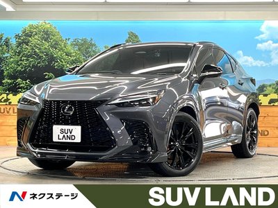 LEXUS NX - 1