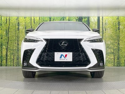 2023 Lexus NX — миниатюра 14