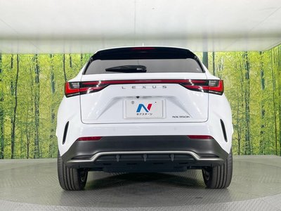 2023 Lexus NX — миниатюра 15