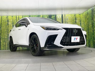 2023 Lexus NX — миниатюра 16