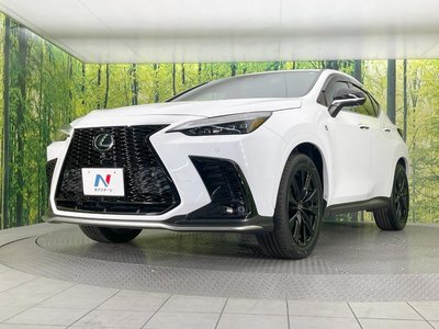 2023 Lexus NX — миниатюра 36