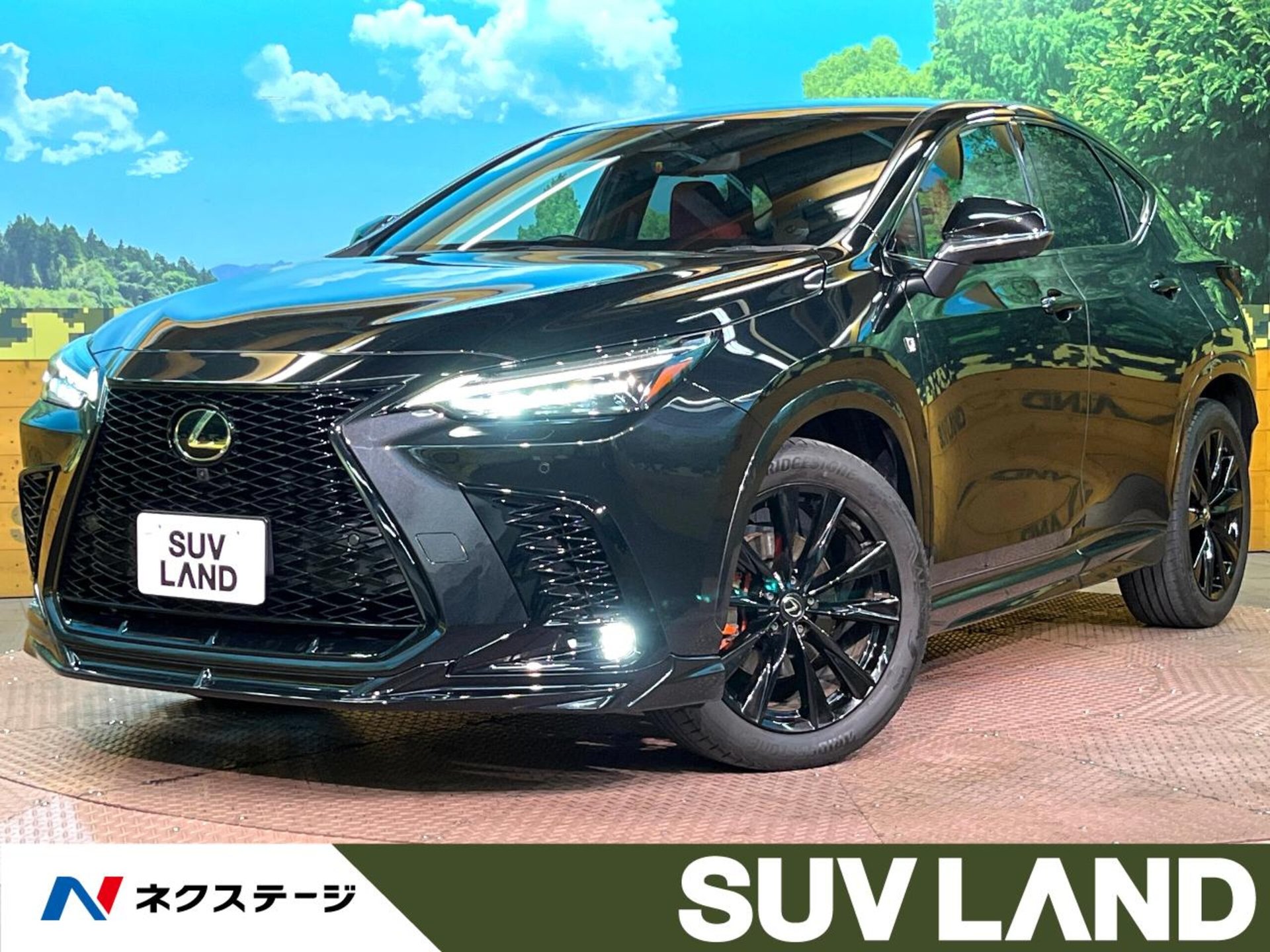 LEXUS NX - View 1