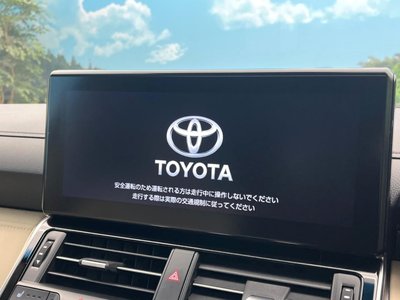 TOYOTA LAND CRUISER 300 - 6