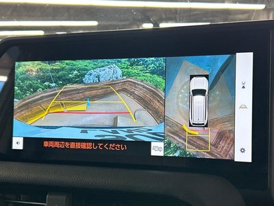 TOYOTA LAND CRUISER 250 - 5