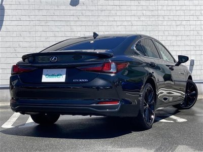 2023 Lexus ES 缩略图 30