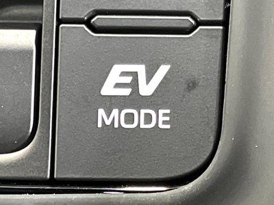 صورة مصغرة 70 لـ 2025 TOYOTA ALPHARD