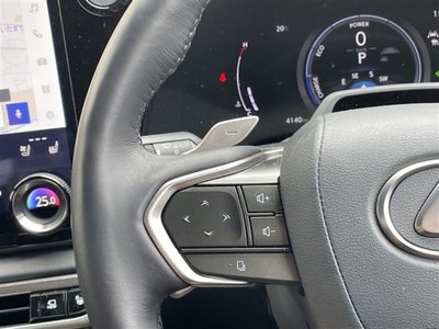 LEXUS RX - 10