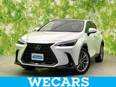 LEXUS NX - 1