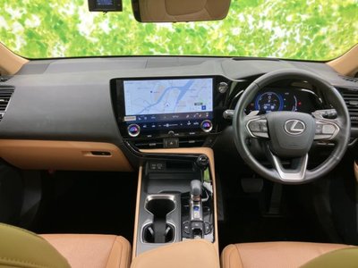 LEXUS NX - 4