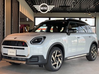 MINI MINI COUNTRYMAN - 1